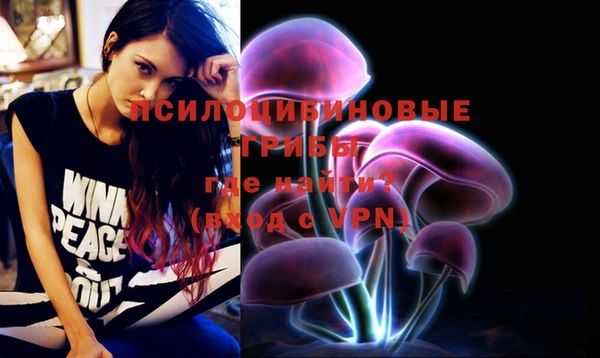 крисы Кинешма